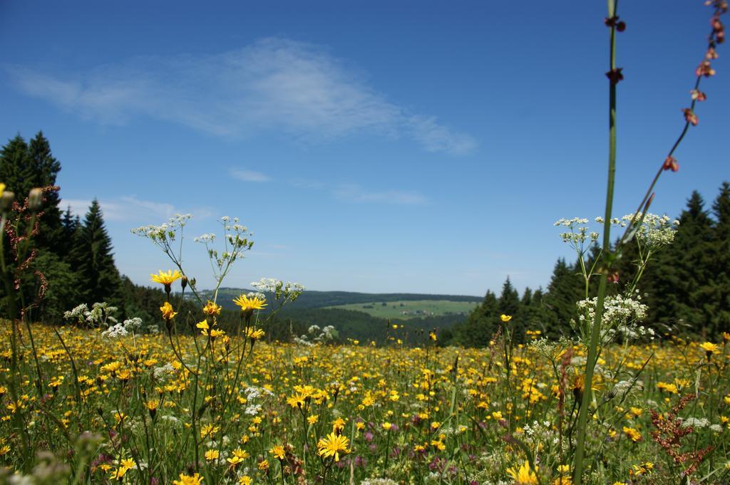 Werrapark Resort Hotel Frankenblick Masserberg Eksteriør bilde